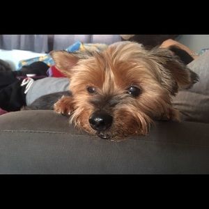 Meet your Posher, Mabel